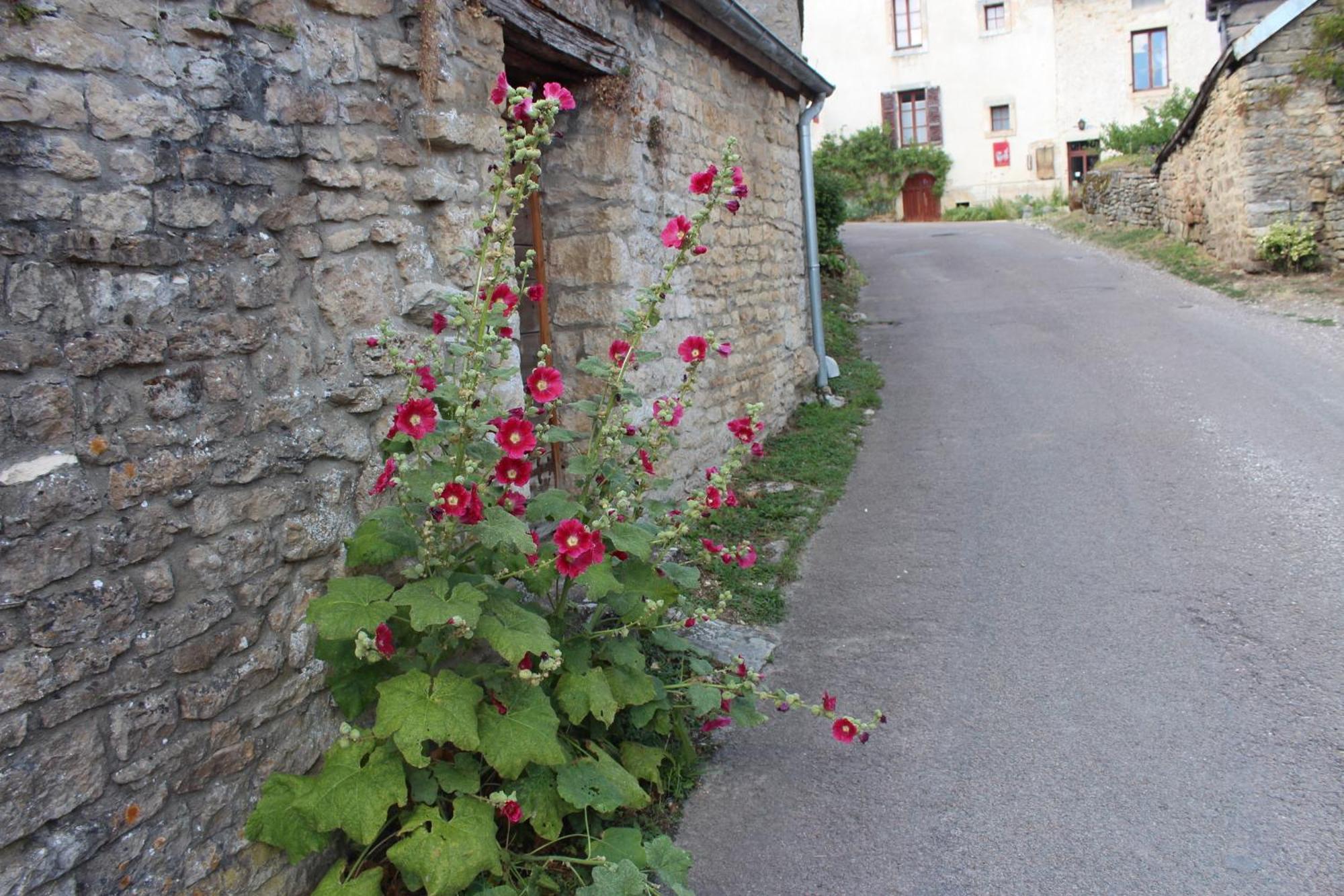 Chateauneuf Suites Luaran gambar