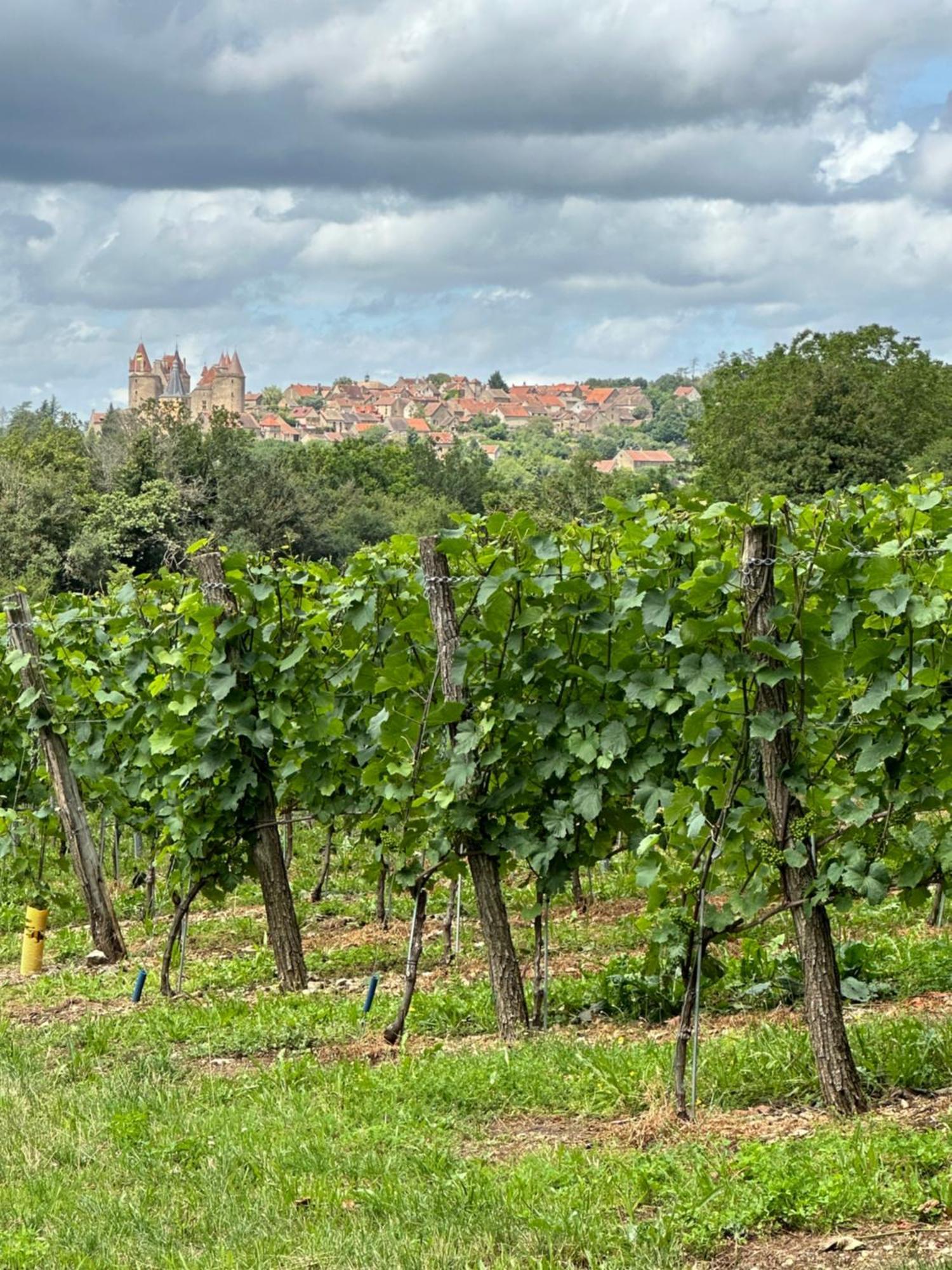 Chateauneuf Suites Luaran gambar