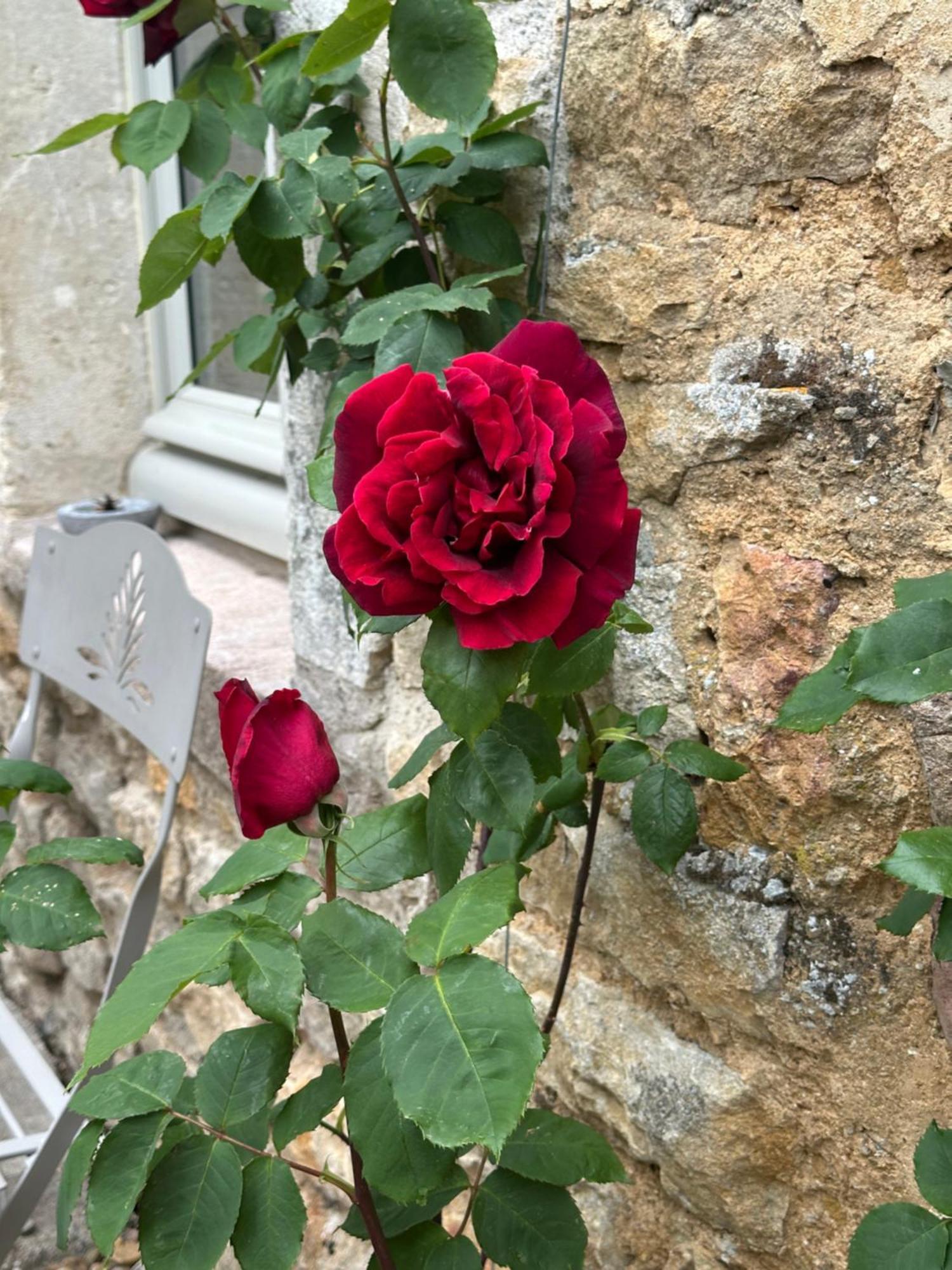 Chateauneuf Suites Luaran gambar